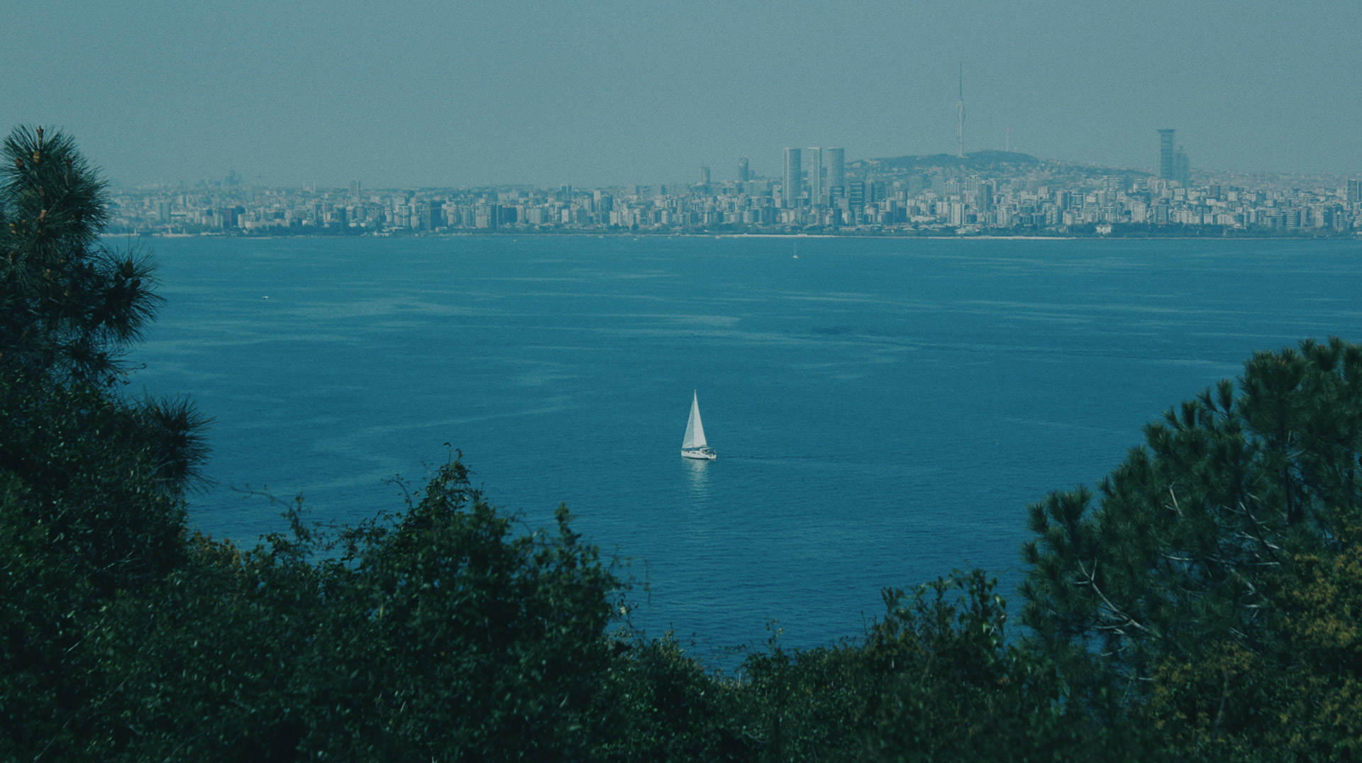 Bayside Asset Management Transforming Your Investment Approach